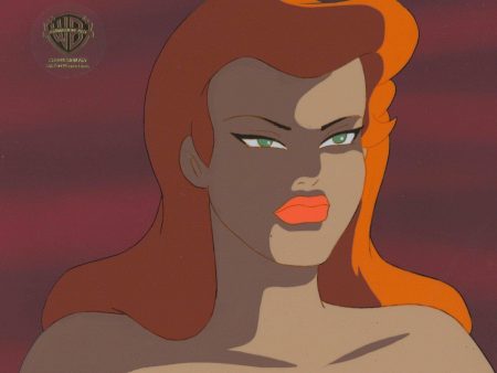 Batman the Animated Series Original Production Key Setup: Poison Ivy Supply