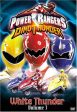 POWER RANGERS DINO THUNDER, VOL. 3: WHITE THUNDER Cheap